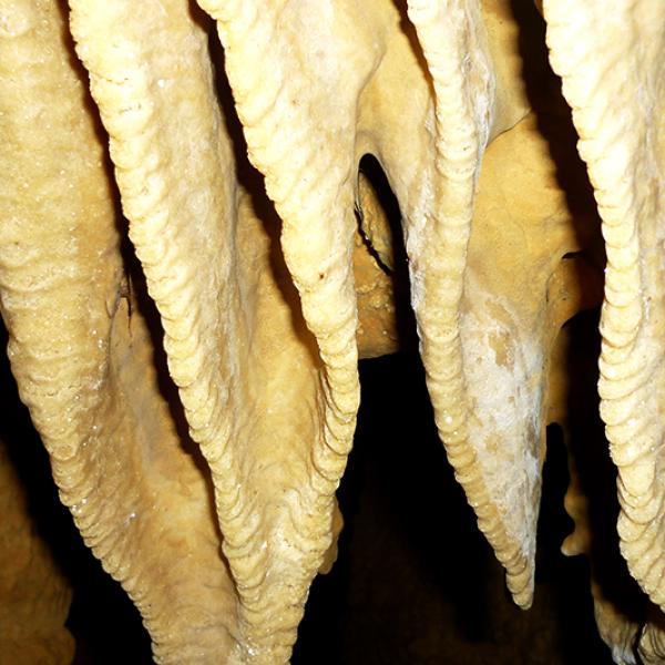 Northern Caves